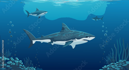 Great white shark swimming underwater in open ocean