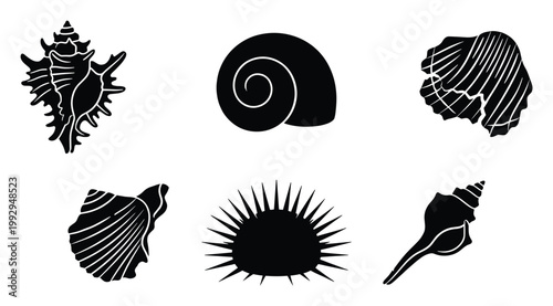 Various seashells and sea urchin silhouettes offer diverse marine life symbols for summer vacation branding and ocean themed projects
