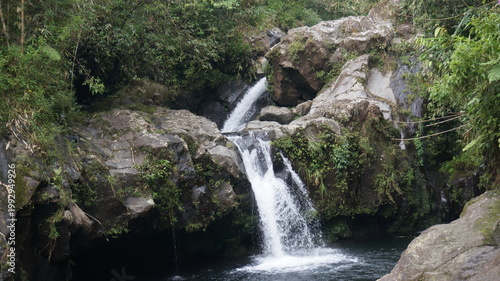 Tropical Waterfall in Lush Forest with Natural Pool, Scenic Jungle Landscape