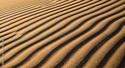 Golden sand dunes texture with rhythmic wind ripples in desert landscape