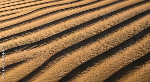Aerial view of golden desert sand waves under warm sunset light
