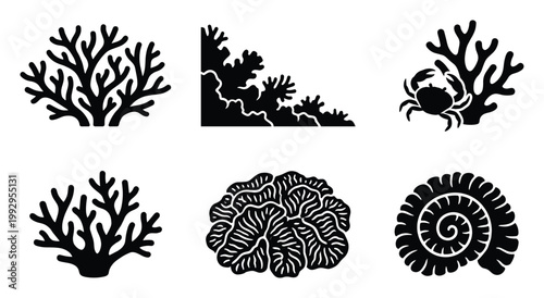 Sea life glyph collection featuring various coral types, a crab, and a nautilus shell for marine education.