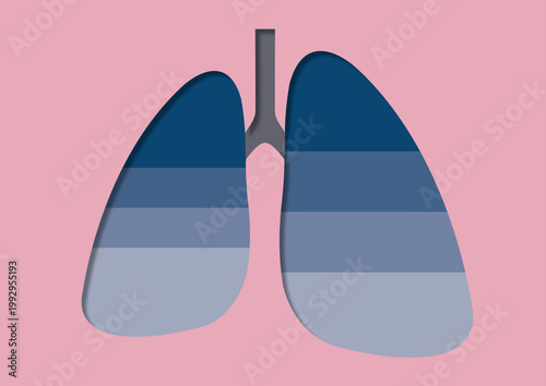 Restrictive and obstructive lungs, conceptual illustration