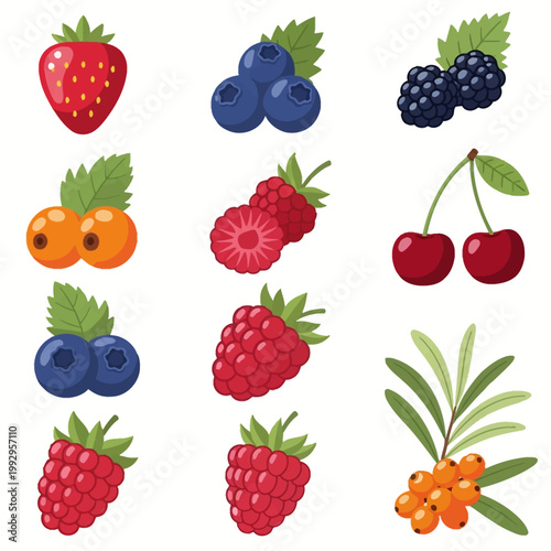 Flat vector berry icons featuring red strawberry, blueberries, blackberries, raspberries, cherries on stems, and orange sea buckthorn with leaves, isolated on a white background.