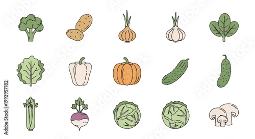 A set of vegetable linear icons including broccoli, potatoes, onion, garlic, spinach, lettuce, bell pepper, pumpkin, cucumber, celery, radish, cabbage, and mushrooms in flat color style.