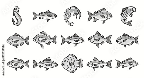 Vector line art illustrations featuring fifteen diverse saltwater and freshwater fish species and shrimp, designed as a clean grey and white icon set isolated on a white background.