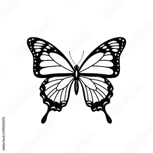 Black and white illustration of a butterfly with detailed wing patterns and long tails, isolated on a white background. Symmetrical vector graphic showing antenna and body anatomy.