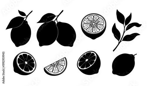 Minimalist Lemon Silhouette Icons with Branches Hand Drawn Citrus Vector Set