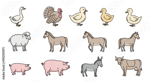 Set of flat vector line icons featuring domestic farm animals and poultry including a horse, sheep, pig, cow, donkey, turkey, goose, and ducks, isolated on white background.