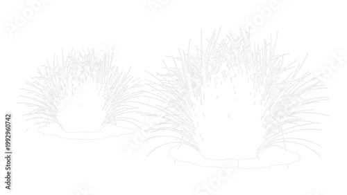 Decorative floral line art collection with various plant forms on transparency background.