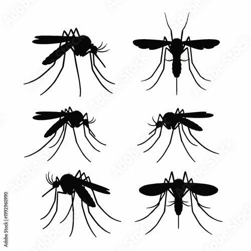 Six black mosquito silhouettes showing different views including side profiles and top-down perspectives, isolated on a plain white background for entomology or pest control.