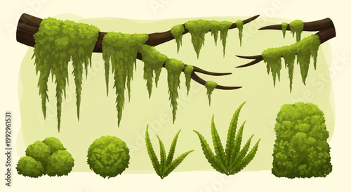 Vector illustration set featuring green hanging jungle moss on dark wooden branches, round mossy mounds, and swamp fern plants isolated on a light background for nature design.