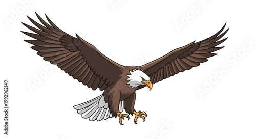 Detailed vector illustration of a bald eagle in flight with wings spread wide and sharp talons extended, featuring white head and tail feathers isolated on a plain white background.
