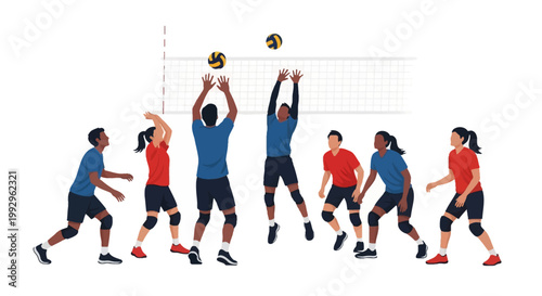Vector illustration of a diverse group of male and female volleyball players in blue and red uniforms performing athletic actions like spiking and setting near a net on white background.