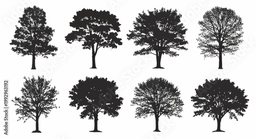 Collection of eight detailed black silhouettes of various deciduous trees including oak, maple, and elm varieties, isolated on white background for landscape design and architectural visualization.