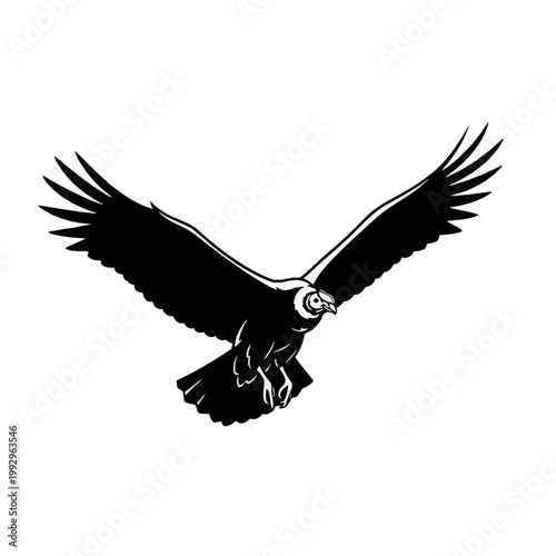 Black and white line art illustration of an Andean condor flying with large wings spread wide, isolated on white background. Graphic silhouette of a scavenger bird of prey in flight.