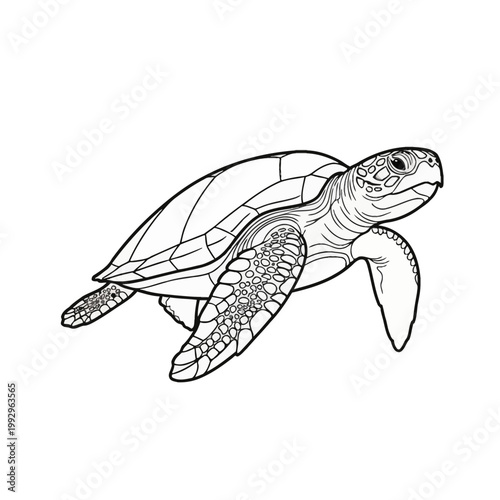 Black and white line art illustration of a sea turtle swimming in profile view on a white background, featuring detailed scales on flippers and shell scutes for coloring book use.
