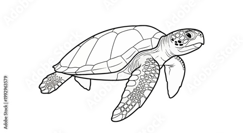 Minimalist black and white line art of a sea turtle swimming side view, highlighting intricate shell patterns and textured flipper scales, isolated on a plain white background.