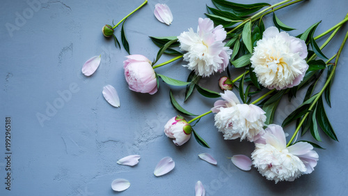 Elegant pink and white peonies with scattered petals and green leaves artfully arranged on a textured gray background