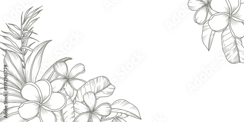 Tropical floral background with tropical flowers and leaves. Plumeria, palm leaf. Hand drawn frame, border. Vector illustration for design of card, banner, invitation, advertising and packaging