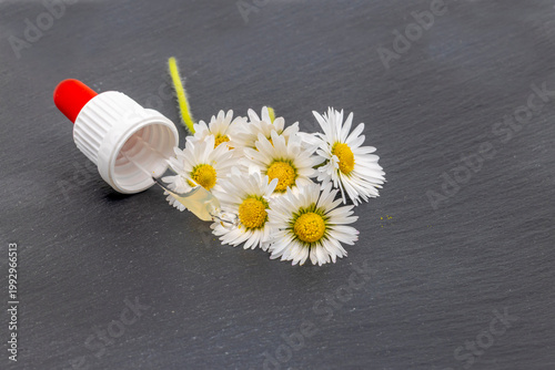 Margeriten mit Pipette gefüllt mit Duftöl