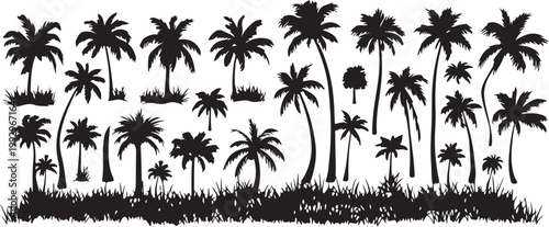 Black palm tree silhouettes, tropical palm trees, vector icons, 25 palm tree graphics