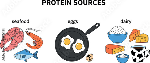 Protein sources illustration with seafood eggs dairy foods including fish shrimp cheese milk and rice healthy nutrition