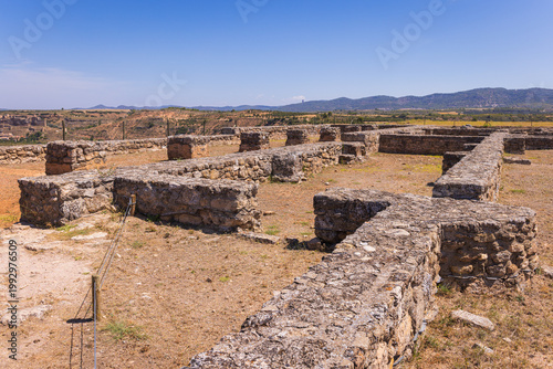 Quadro su tela In the ruins of medieval Recópolis