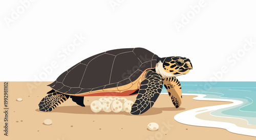 Sea turtle laying eggs on sandy beach vector illustration. Marine reptile nesting on shore with ocean waves gently lapping. Wildlife conservation concept for nature awareness.