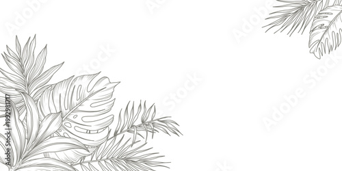 Tropical floral background with palm and monstera leaves. Hand drawn frame in sketch style. Vector illustration for design of card, banner, invitation, advertising and packaging