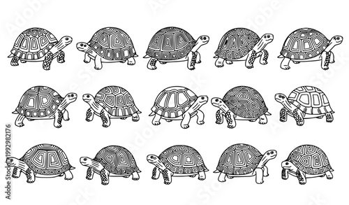 Decorative tortoise vector set black and white ornate turtle shell pattern illustration