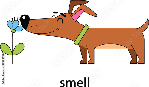 Dog smelling flower vector illustration in flat cartoon style, cute pet learning action concept for kids education and vocabulary design