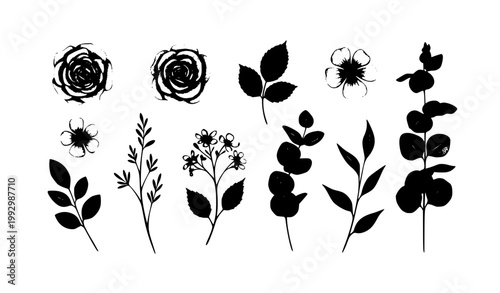 Soft watercolor floral elements set with flowers leaves and twigs delicate botanical clipart isolated on white