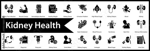 Kidney Health icon set and collection