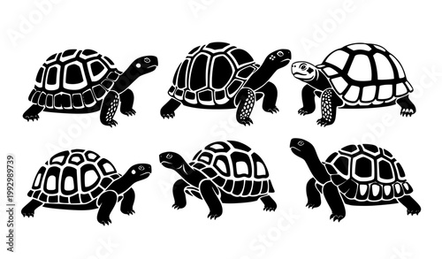 Decorative tortoise silhouettes black vector stylized turtle pattern design collection