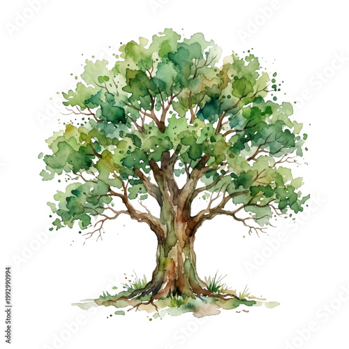 Tree watercolor painting with green leaves and trunk