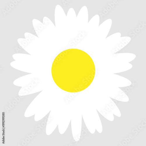 Daisy flowers icon vector. Daisy Illustration sign. Chamomile symbol. flowers logo.