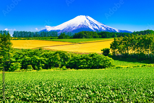 美瑛の美しい田園風景と富士山合成