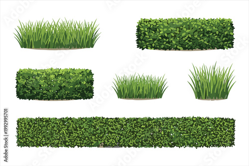 Green grass and hedge elements, lawn care icons, garden foliage illustrations, landscaping vectors