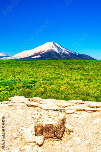 ユカタン半島の熱帯雨林の森と富士山合成