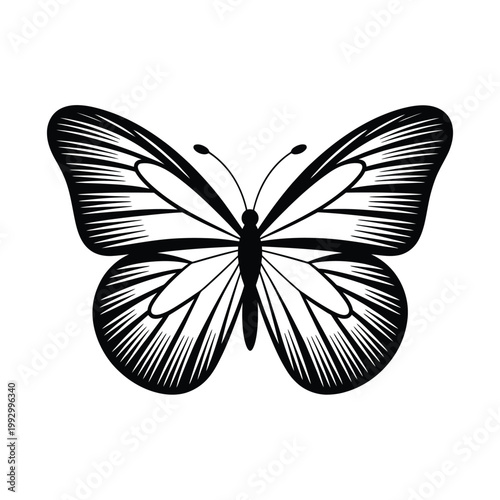 A symmetrical black and white illustration of a butterfly with detailed wings