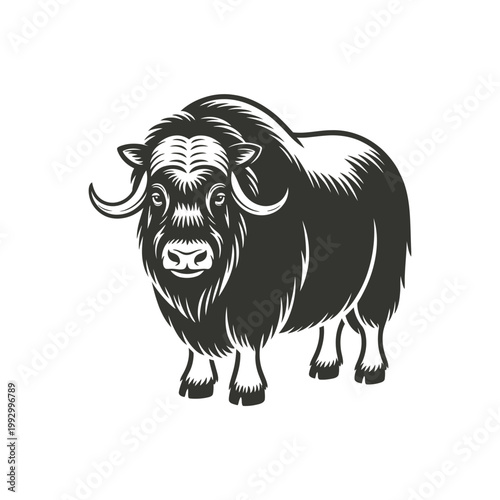 Detailed black and white illustration of a majestic muskox standing firmly