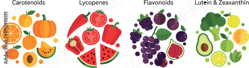 Phytonutrients food groups with carotenoids lycopenes flavonoids lutein and zeaxanthin healthy nutrition vector illustration