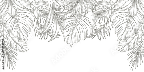 Tropical floral background with palm and monstera leaves. Hand drawn frame in sketch style. Vector illustration for design of card, banner, invitation, advertising and packaging