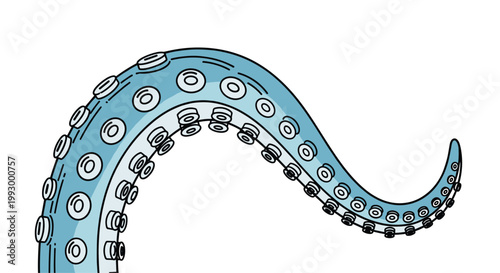 Close up illustration of a curved light blue octopus or squid tentacle showing detailed suction cups on a white background.