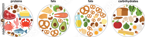 Healthy nutrition plates showing proteins fats and carbohydrates balanced diet food groups vector illustration