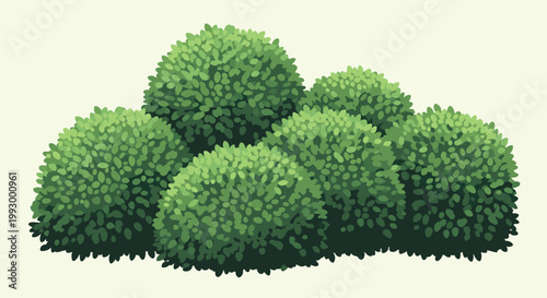 Group of five lush green round shaped bushes or shrubs arranged together against a light yellowish background for landscaping.