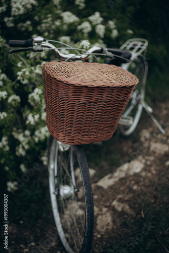 A retro bicycle with a basket against the backdrop of spring nature. Selective focus. Beautiful background.