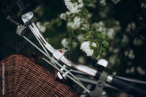 A retro bicycle with a basket against the backdrop of spring nature. Selective focus. Beautiful background.