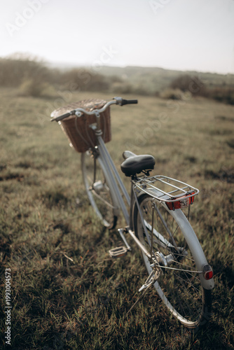 A retro bicycle with a basket against the backdrop of spring nature. Selective focus. Beautiful background.
